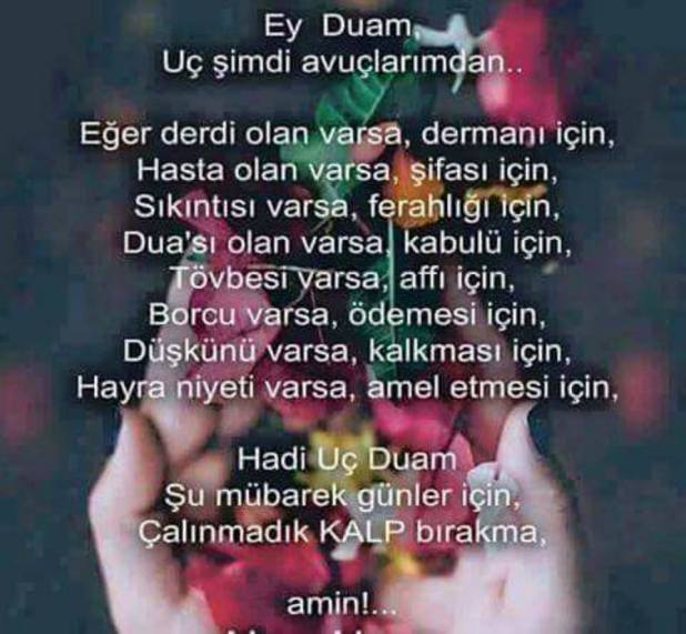 12565506_543833059106707_7651117879537321038_n[1]