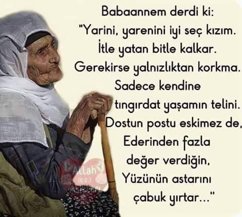 12647101_10153866964938718_7625975542311149508_n[1]