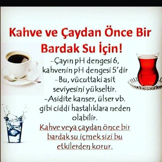 12670925_792502284227909_3551803996139773829_n[1]