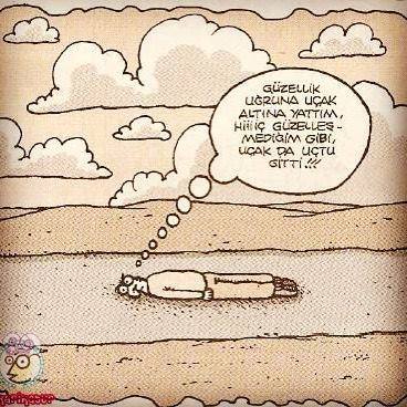 12688232_10153849195098955_6710322270170486582_n[1]