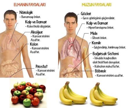 12799254_560519430781340_38068730527903913_n[1]