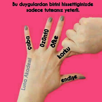 12802994_469454976584130_8756600061549415700_n[1]