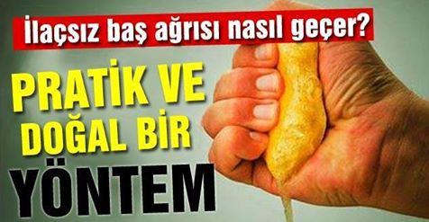 12809571_560263817473568_3814243153181021247_n[1]