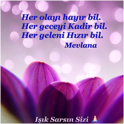 1930805_1753922438173261_5578037580997839369_n[2]