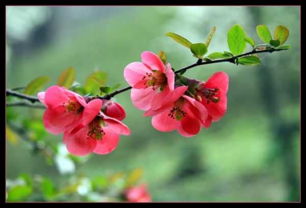 20120305__369684101[1]