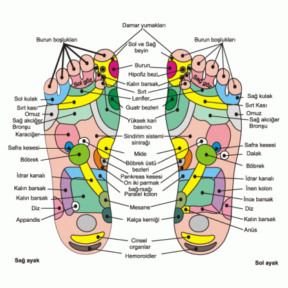 2454_ayak_haritasi[1]