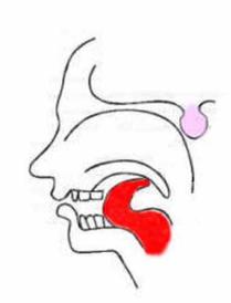 DİLİ-DAMAĞA-DOKUNDURMAK[1]