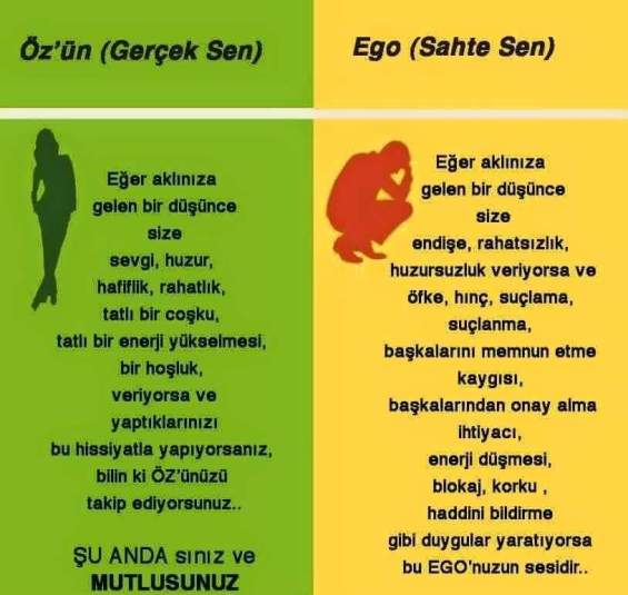 12717599_10207687874732104_5577127921268481656_n[1]