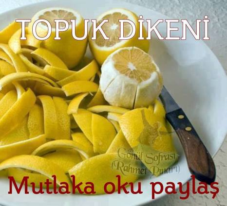 12923174_1019305971469737_7970026055504003120_n[1]