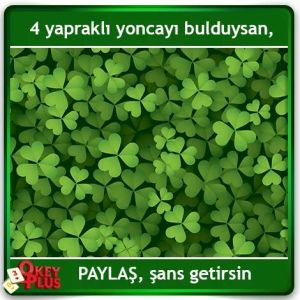 16618_1688998041357507_3228936911645451095_n[1]