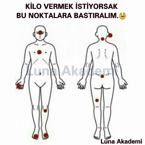 18250_479495602246734_4722897613852229655_n[2]