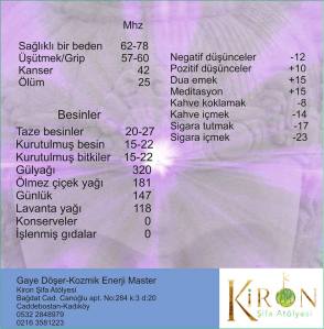 8345_479060818946377_4765198138766443371_n[1]