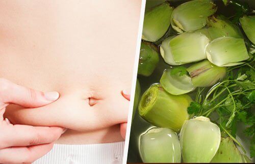 enginar-kalp-yağ-1[1]