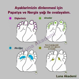 13124883_493909000805394_1315293835652133818_n[1]