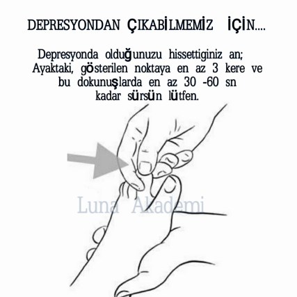 13179447_495473817315579_3495313276982296274_n[1]