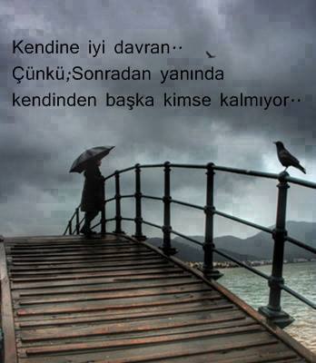 13255951_10154204557899106_7775588365582490694_n[1]