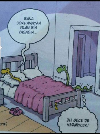 13310585_10154197315550762_6876209672980479834_n[1]