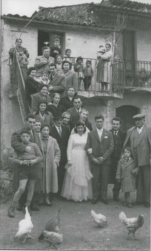 13327577_1022150517839021_3232210742458721034_n[1]