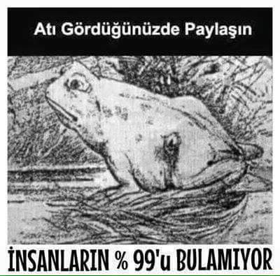 13346501_199114777151242_8301565155758146660_n[1]