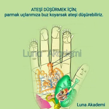 13412942_507144479481846_5127033906387544699_n[1]