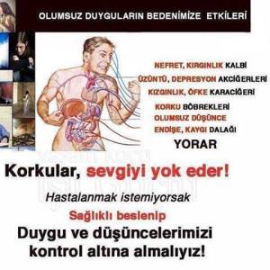 13442245_646234108864142_9078535633199573610_n[1]