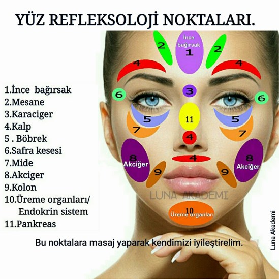 13442264_509944975868463_5191692560752629495_n[1]