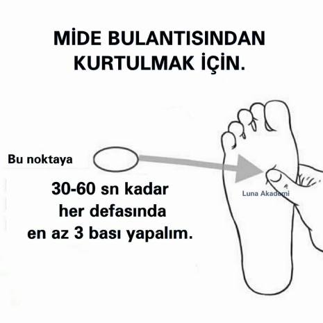 13494908_513883618807932_8371217632572834070_n[2]