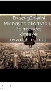 13592774_980607872052195_3100691073445057559_n[1]