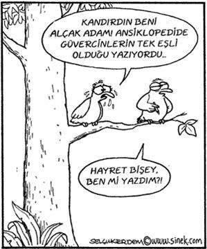 63ba852339362ecadb2b4521cb02bfaa[1]