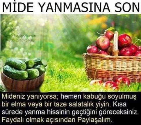 13770268_10157153493300557_6991005309602169170_n[1]