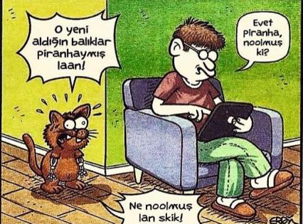 13879382_10155144093439251_4290774647930630413_n[1]