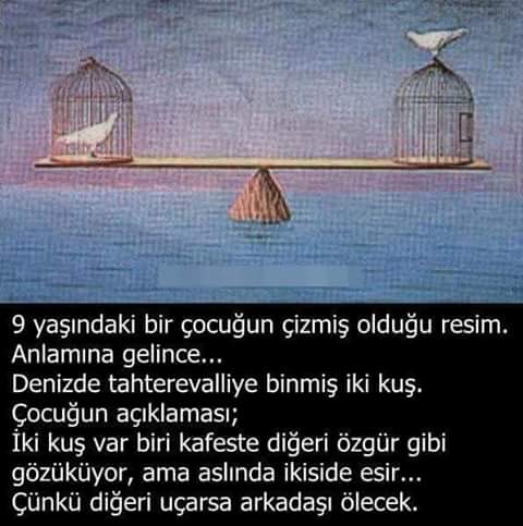 13882673_1008746609239168_2952530793934813086_n[1]