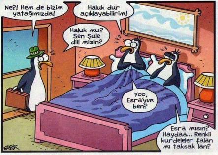 bed84885caca4998a30472a3713e925b[1]