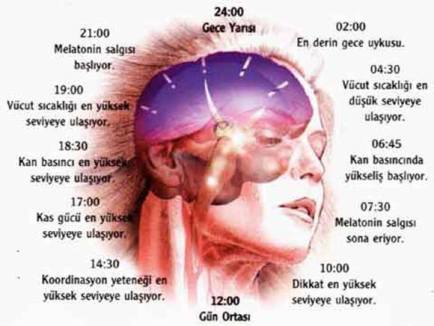 10577114_10152258988475785_7525800960020246799_n1