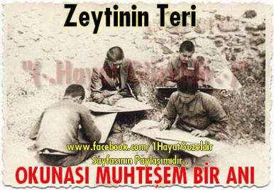 11143294_10152864534641887_746314402939354337_n1