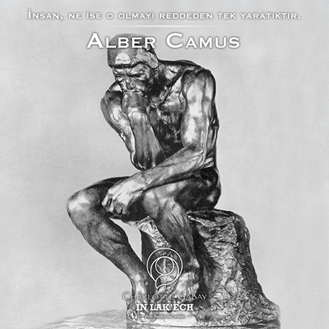 14051565_1357267930957839_281881903230841716_n1