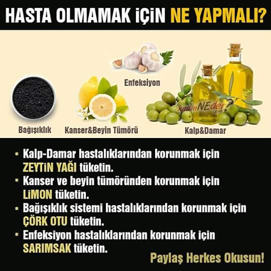 14495414_1152054451528221_7662697932878866115_n1