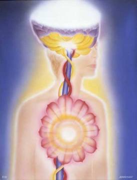 1781882_480011208788159_59601776_n1