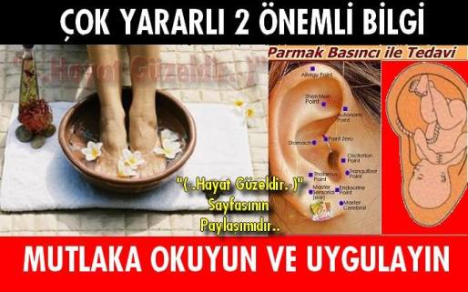 537907_578606528868378_397339850_n1