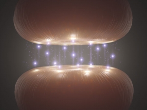 dopamin-serotonin-300x2251