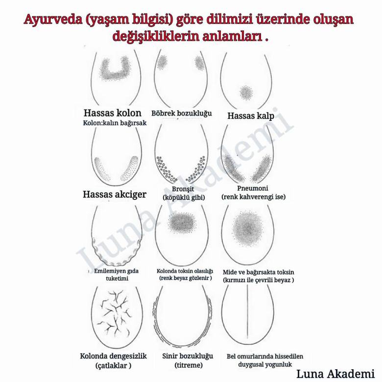 14494747_554399498089677_1078543780168611414_n1