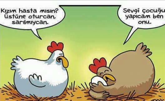 14516596_710969015720629_6049567253997423826_n1