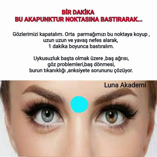 14572245_561311597398467_5712319544235102676_n1