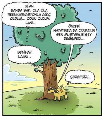 14718701_1242236339172899_921803884586454927_n1