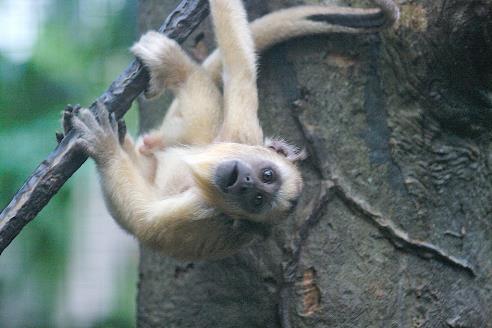 668808452-23f6a54126-b-dd2f-91bd-cb8d1