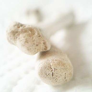 huesos-theen1-500x5001