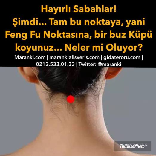 11070007_10153189128911052_1236183682663171044_n11