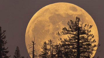 14-kasim-gecesi-son-70-yilin-en-buyuk-dolunay-i-super-ay-geliyor-14784571221