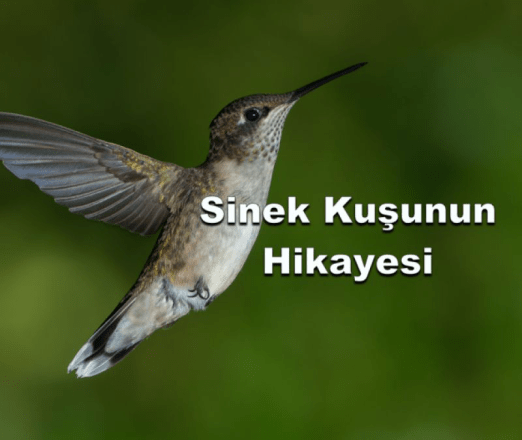 14502843_675949512569467_1094638473237605377_n1