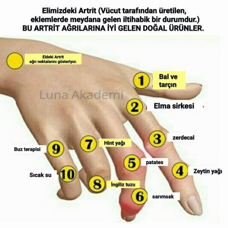 14523085_565559376973689_917002817782404053_n1